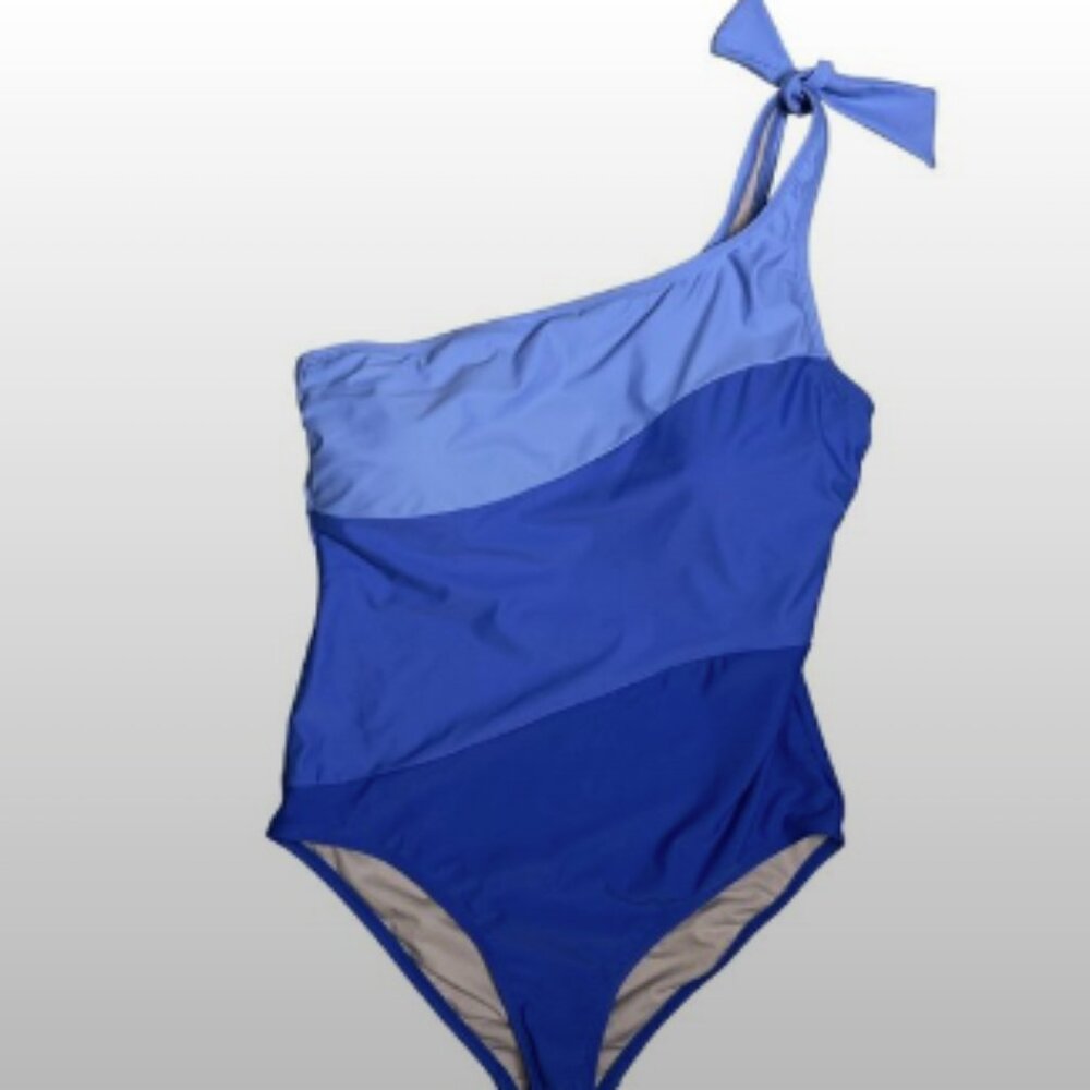 Aqua Couture Purple Color Block 1 Piece Swimsuit - XL